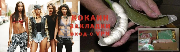 индика Армянск