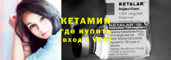 молекула духа Арсеньев