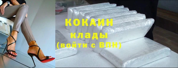 индика Армянск