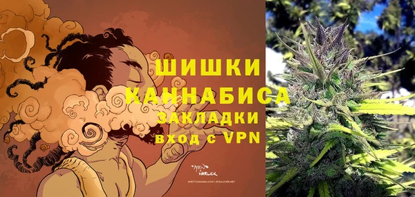 СК Аркадак
