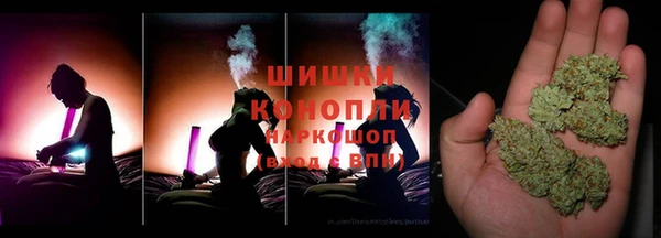 молекула духа Арсеньев