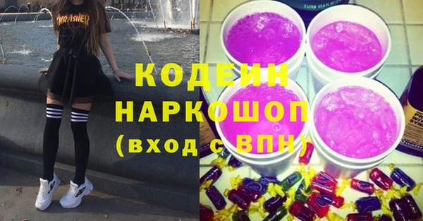 молекула духа Арсеньев