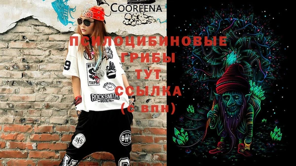 молекула духа Арсеньев