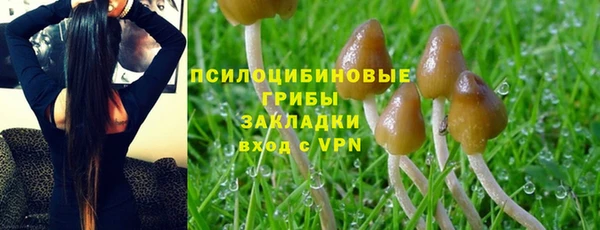 СК Аркадак