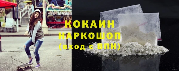 индика Армянск